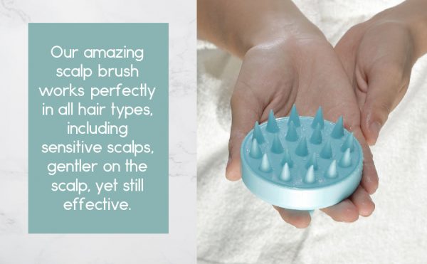 02_1a4caa9e-efcf-49ca-be98-0d6f7f7c3a04 Hair Scalp Massager-4